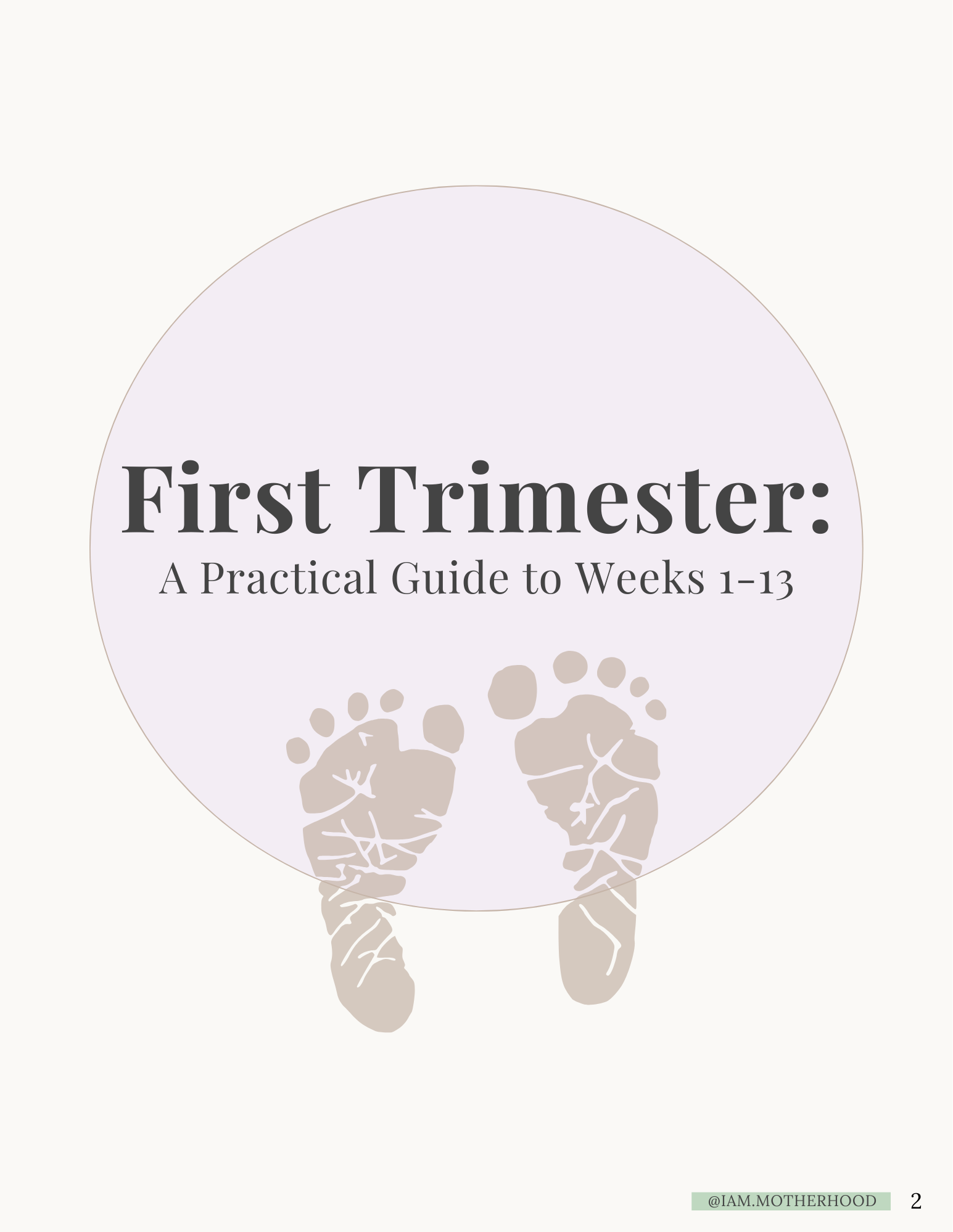 First Trimester: A Practical Guide to Weeks 1–13