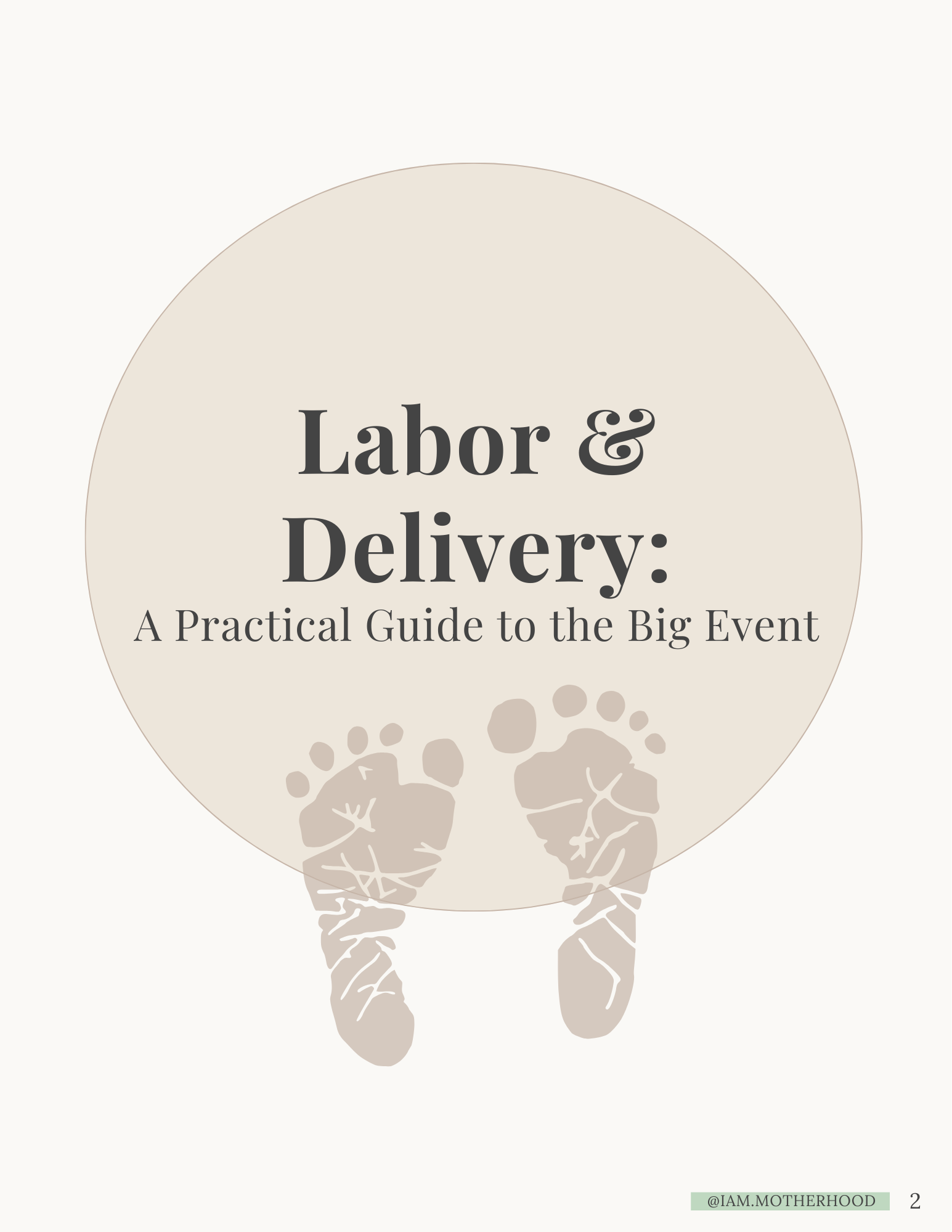 Labor & Delivery: A Practical Guide to the Big Event