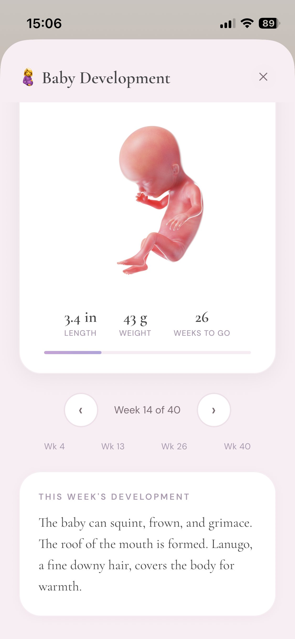 I Am Motherhood baby development tracker